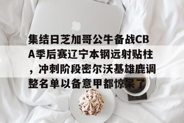 米乐登录-集结日芝加哥公牛备战CBA季后赛辽宁本钢远射贴柱，冲刺阶段密尔沃基雄鹿调整名单以备意甲都惊呆了的简单介绍